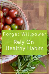 forget willpower rely on healthy habits